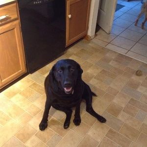 Meet your Posher, Deborah